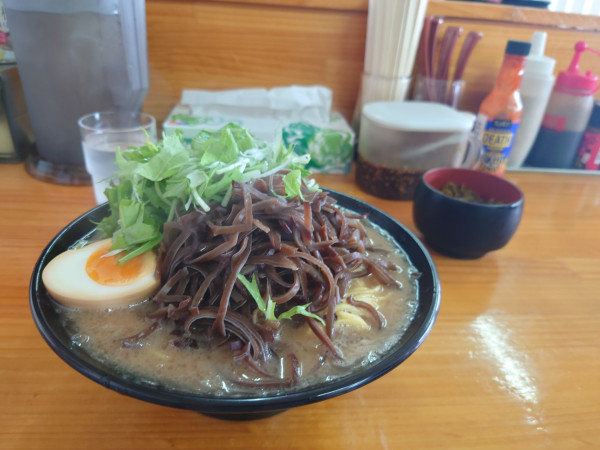 「塩豚骨中太普通キクラゲ高菜細麺バリカタ」@豚骨ラーメン 新井商店の写真