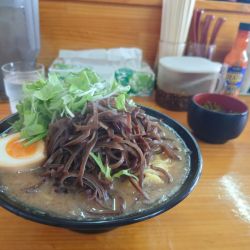 塩豚骨中太普通キクラゲ高菜細麺バリカタ