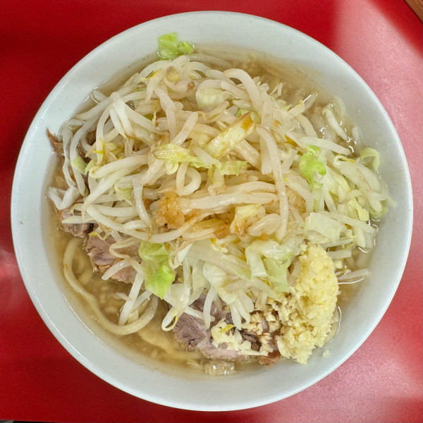 「ラーメン小 ニンニクマシ カラメ」@ラーメン二郎 神田神保町店の写真