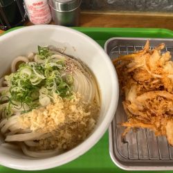 ぶっかけ、ありあり、120g増、野菜かき揚げ