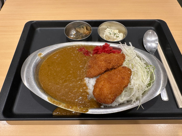 「ヒレカツカレー（大盛・300g・中辛）880円」@ラッキー食堂ぐんま軒の写真