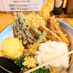 ぶっかけ天ぷらうどん＋玉子天＋大根おろし