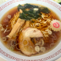 シーガルの画像