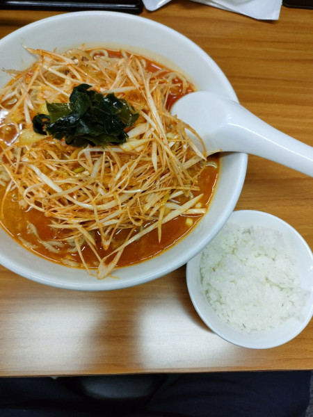「ネギ担々麺」@ふうりゅうの写真