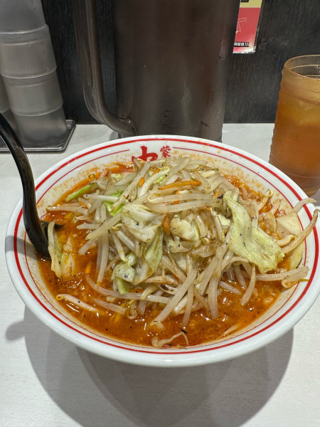「限定 濃厚酸辛SOBA」@蒙古タンメン 中本 町田店の写真