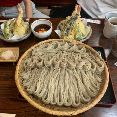 蕎麦処 つゆ下 梅の花の画像