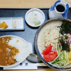 冷やしたぬきそば＋ミニカレー