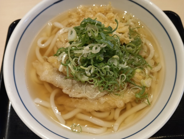 「ごぼ天うどん（¥490）」@ウエスト 渡辺通り店の写真