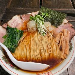 チャーシューメン+ねぎ+かいわれ