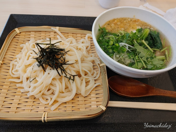 「ざるうどん（中 200g 600円）、肉吸（牛ネギ 450円」@手打ちうどん フジサン 福舞製麺所の写真