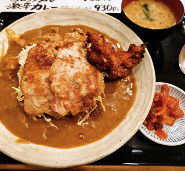 「WASEDA丼カレー」@WASEDAやの写真