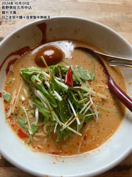 「白ごま坦々麺＋自家製半熟味玉」@麺や 天鳳の写真