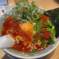 辛肉そば　ドッカンねぎ