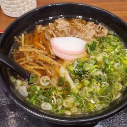 肉きんぴらうどん