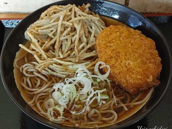 「ごぼう天そば（410円）、コロッケ（100円）」@そば・うどん 八起家 西口店の写真