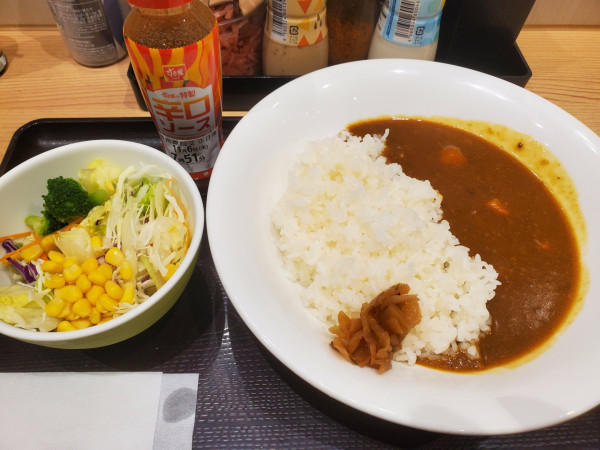 「カレー並＋サラダ」@すき家 関内店の写真