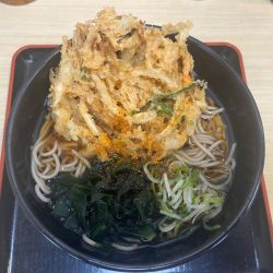 かき揚げ天そば