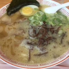 元祖熊本ラーメン こだいこの画像