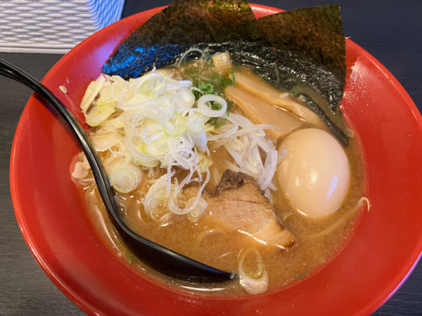 「味噌ラーメン＋白髪ネギ、味玉」@土佐二刀流の写真