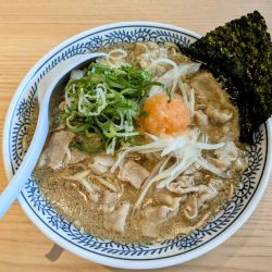 熟成醤油肉そば(肉ダブル)