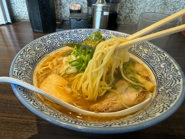 「濃厚煮干し中華そば　950円」@極上煮干し鶏そば やまだ邸の写真