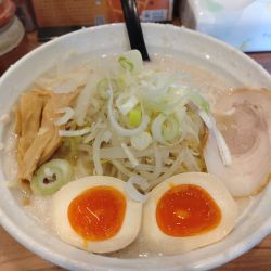 味玉子ラーメン　脂ギタギタ