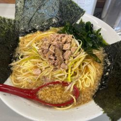 ネギ味噌ラーメン中＋のり