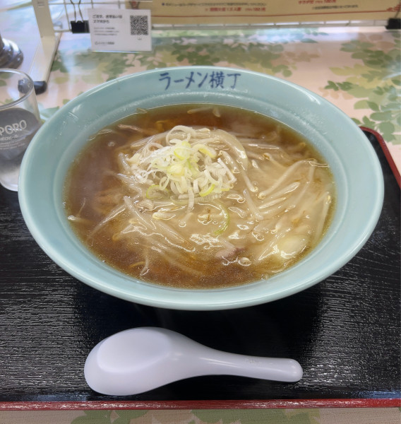 「もやしラーメン(とろみタイプ)」@ラーメン横丁の写真