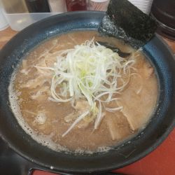 煮干しだし中華そば(極細麺)