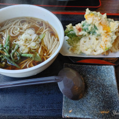 十割蕎麦とカフェ 風の庵の画像