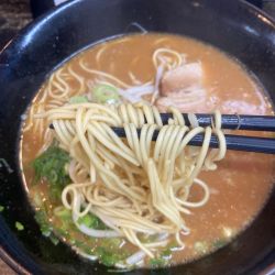 味噌豚骨750麺大盛180