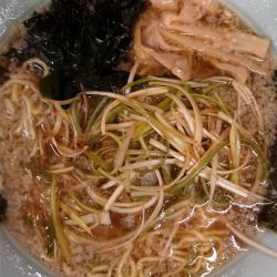 ネギラーメン　並　８５０円
