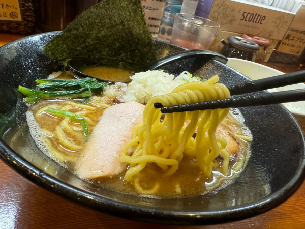 「鶏白湯らーめん950円」@三代目麺処 「まるは」極 船橋店の写真