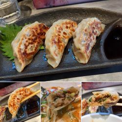 味噌餃子(3個)　480円