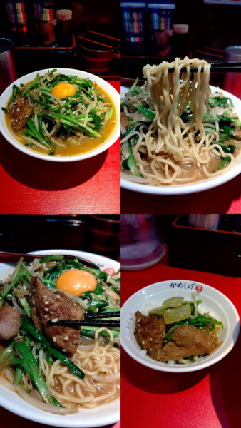 「『生レバニラそば 味噌(¥980)』とサービス半ライス」@濃厚タンメン かめしげの写真