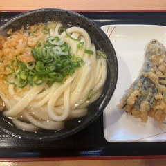 讃岐うどん 條辺の画像