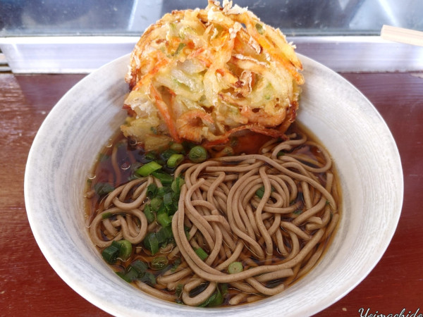 「海老と野菜のかき揚げそば（560円）」@桃中軒 三島駅在来線上りホーム店の写真
