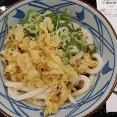 丸亀製麺 イオンモールKYOTO店の画像