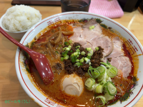 「特製担担麺(1330円)、ご飯セルフ盛り(100円)」@つけそば 担担麺 航龍の写真