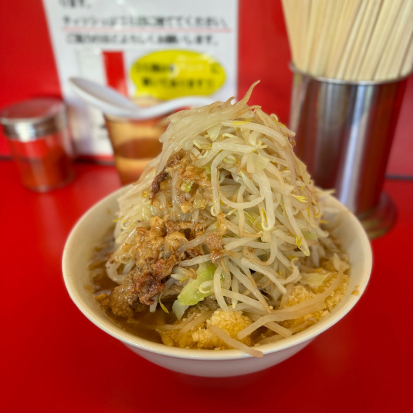 「ラーメン並 豚マシ」@ラーメンの写真