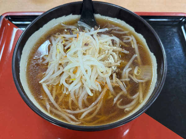 「もやしラーメン」@ホテーフーヅ 伊那店の写真