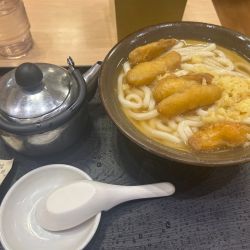 ごぼう天うどん520円