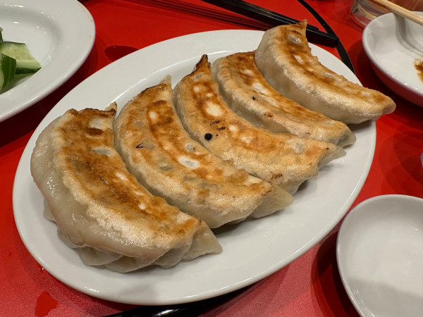 「名物餃子(5個)770円+ホッピー 他いろいろ」@中華料理 囍鵲亭の写真