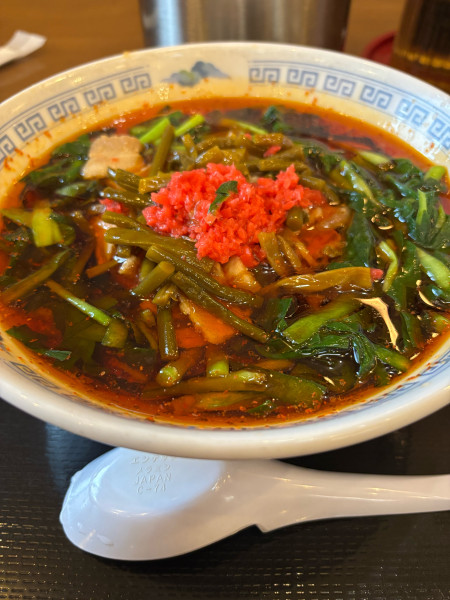 「満州にらラーメン　みっくす　ガリ」@さかえや本店の写真