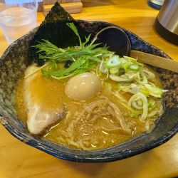 ねぎ味噌らーめん 中太麺 丸玉