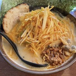 江戸前味噌　肉ネギ