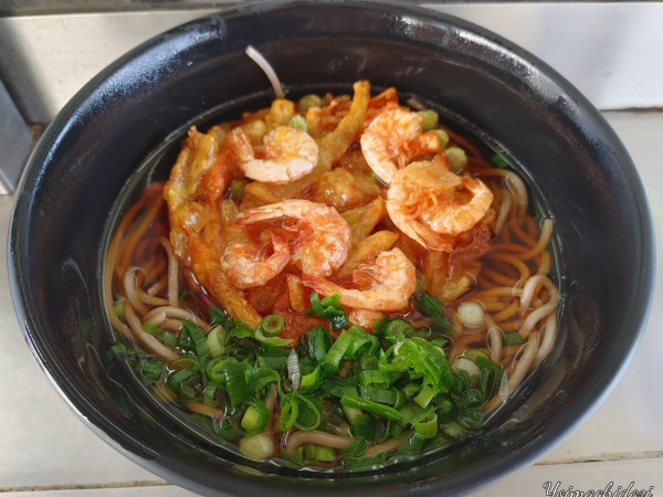 「かき揚げそば（480円）」@富陽軒 身延線ホーム そば店の写真