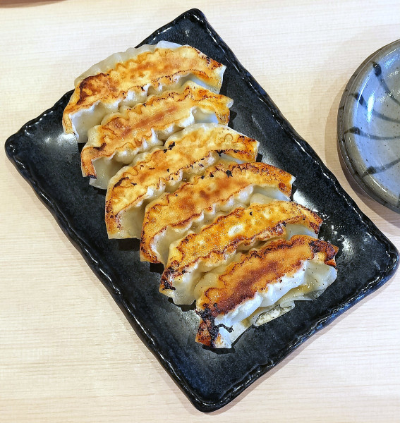 「黒豚ぎょうざ 480円」@らぁ麺 ほたるの写真