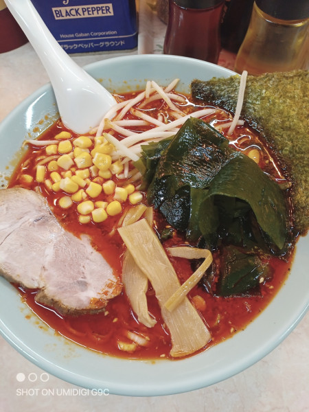 「からし麺（太麺）」@ラーメン菱和 上大岡店の写真