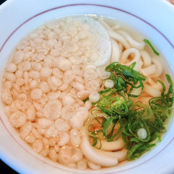 「はいからうどん(小)」@なか卯 環七南葛西店の写真